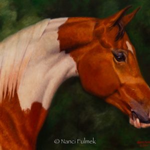 Sir Heart of Fame - painting by - Nanci Fulmek