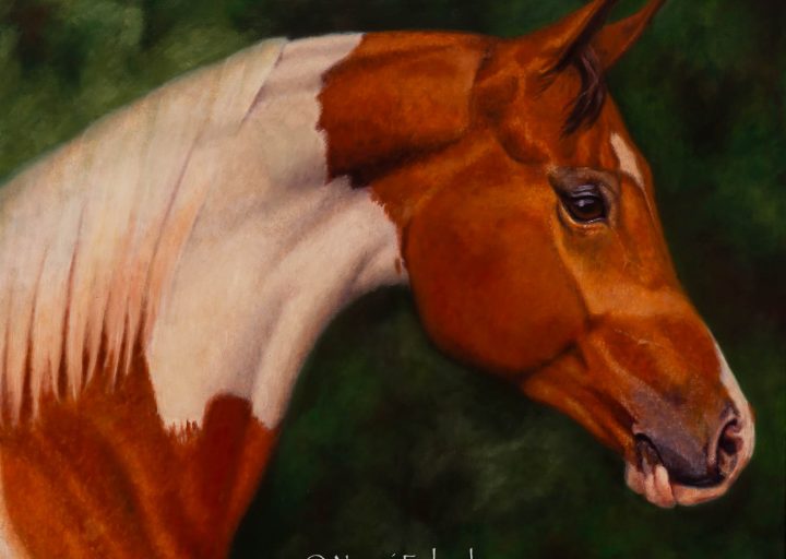 Sir Heart of Fame - painting by - Nanci Fulmek