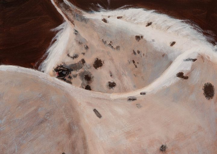 Koda - Nanci Fulmek Art