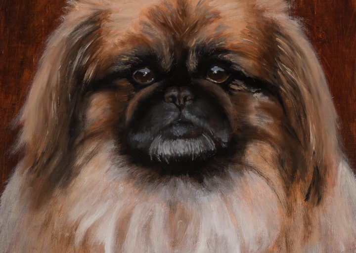 Lulu - Nanci Fulmek Art