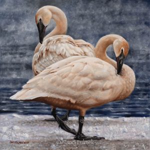 Thirty Below - painting by - Nanci Fulmek