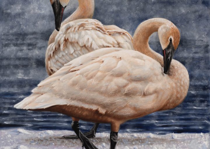 Thirty Below - painting by - Nanci Fulmek