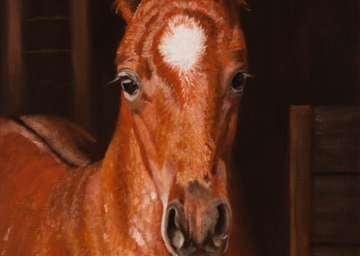 Titan - painting by - Nanci Fulmek