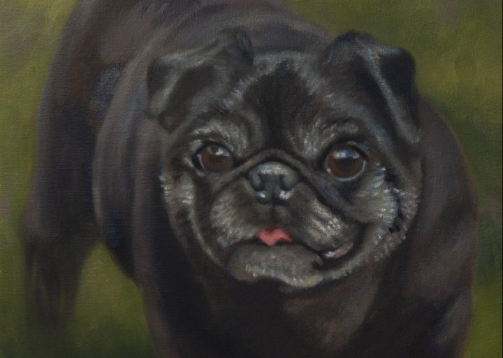 Burt - Nanci Fulmek Art